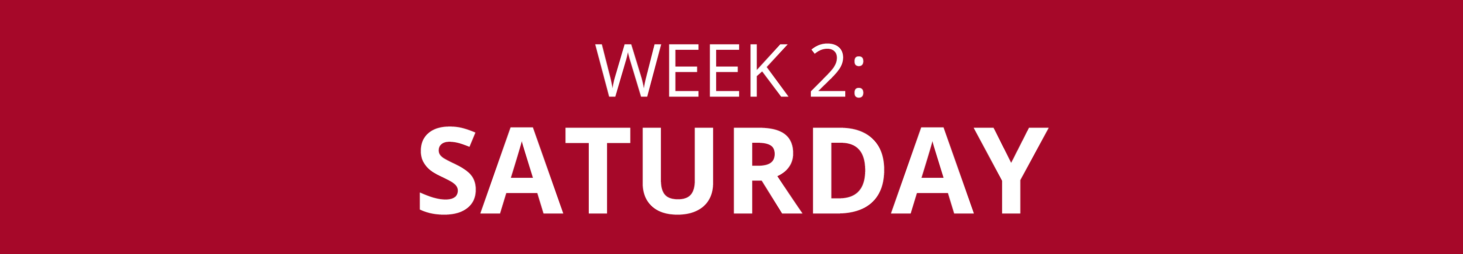 WEEK 2: SATURDAY