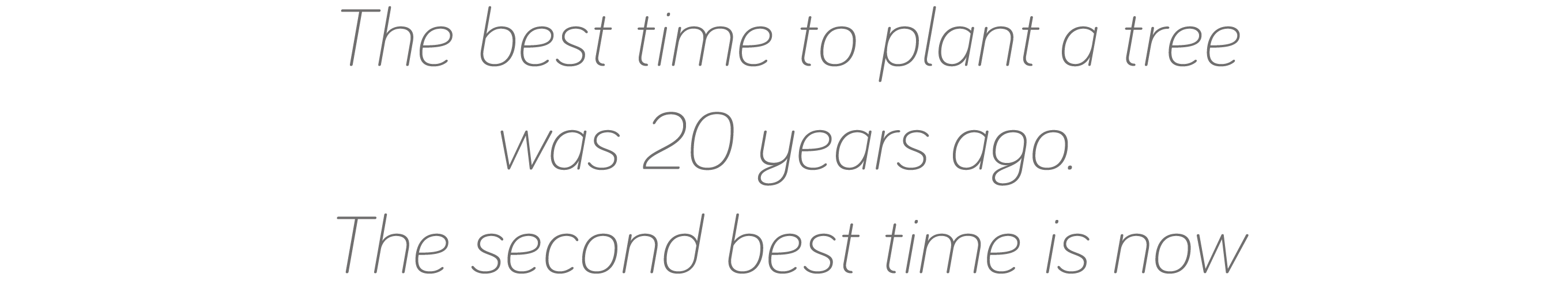 The best time to plant a tree was 20 years ago  The second best time is now