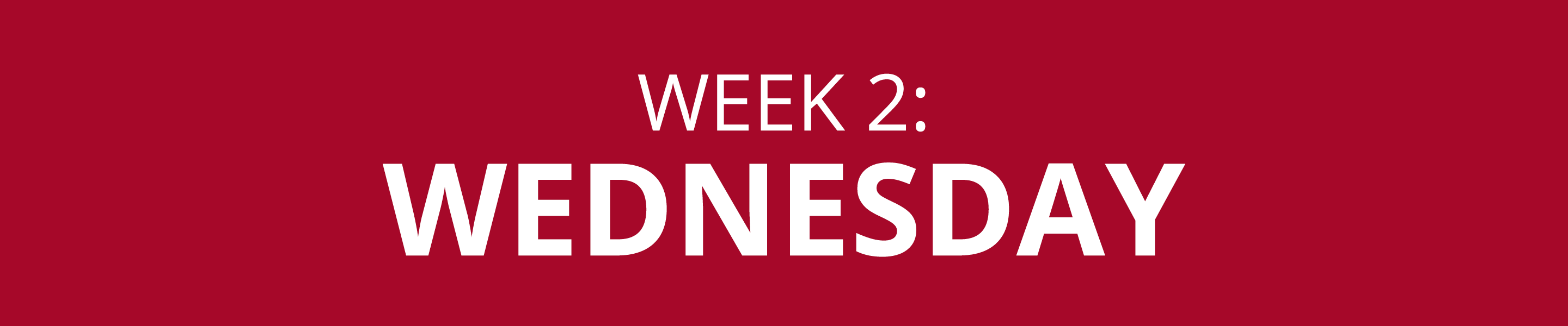 WEEK 2: WEDNESDAY