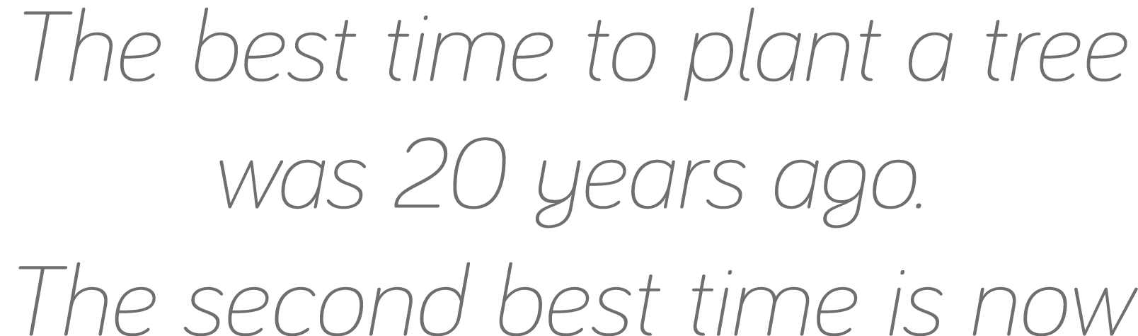 The best time to plant a tree was 20 years ago  The second best time is now