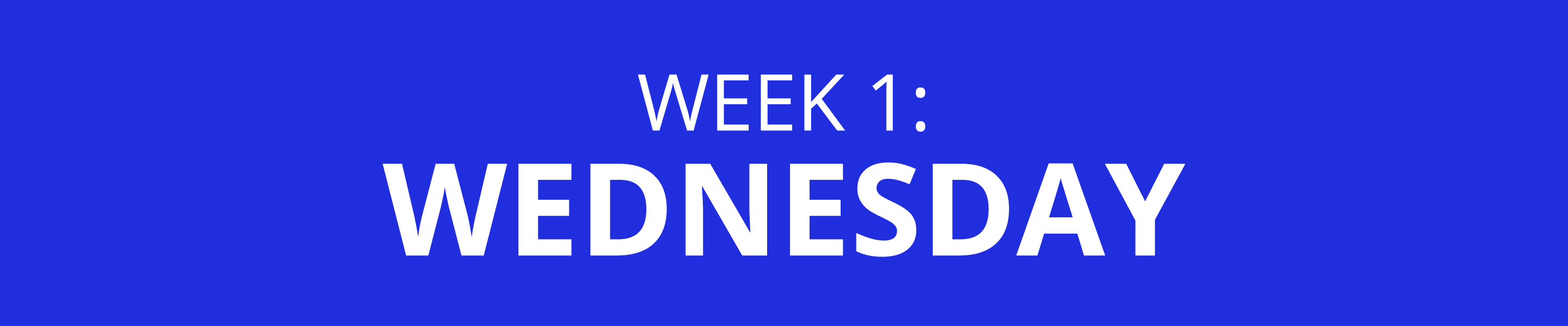 WEEK 1: WEDNESDAY