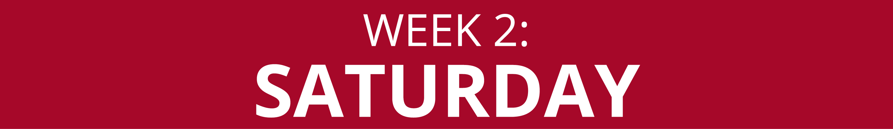 WEEK 2: SATURDAY
